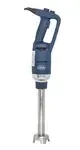 Globe GIB500-12, Immersion Blender