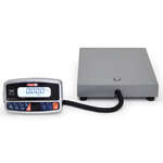 Tor-Rey , SR-50/100, Floor Scale with Tower